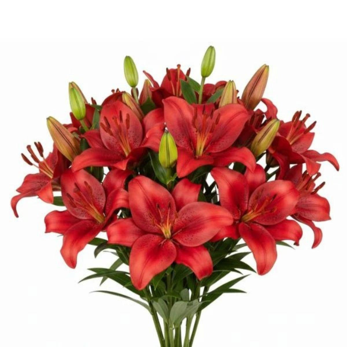 red asiatic lily bouquet زنبق
