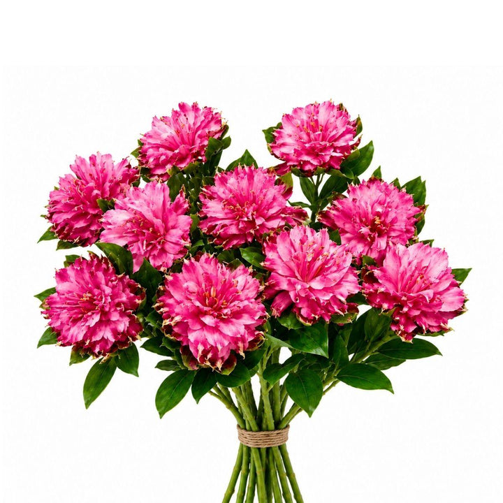 Alstroemeria Fashionista Sofiana fresh-cut flower bunch, from Sharbatly.