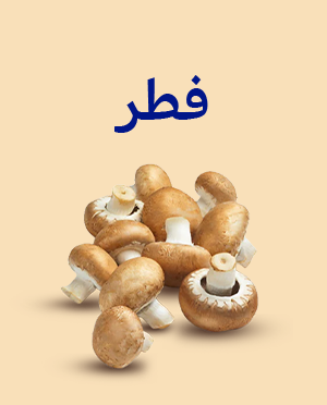 فطر كستناء – عبوة 0.25 كجم