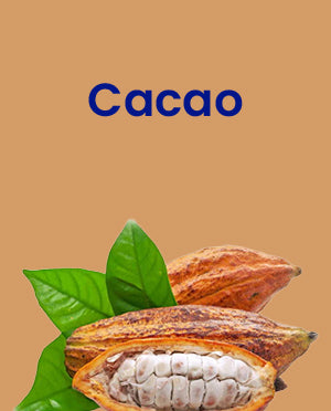 Cacao pod, fresh, single piece