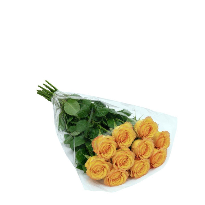 Roses, Olduvai fresh-cut flowers in a protective sleeve, from Sharbatly.