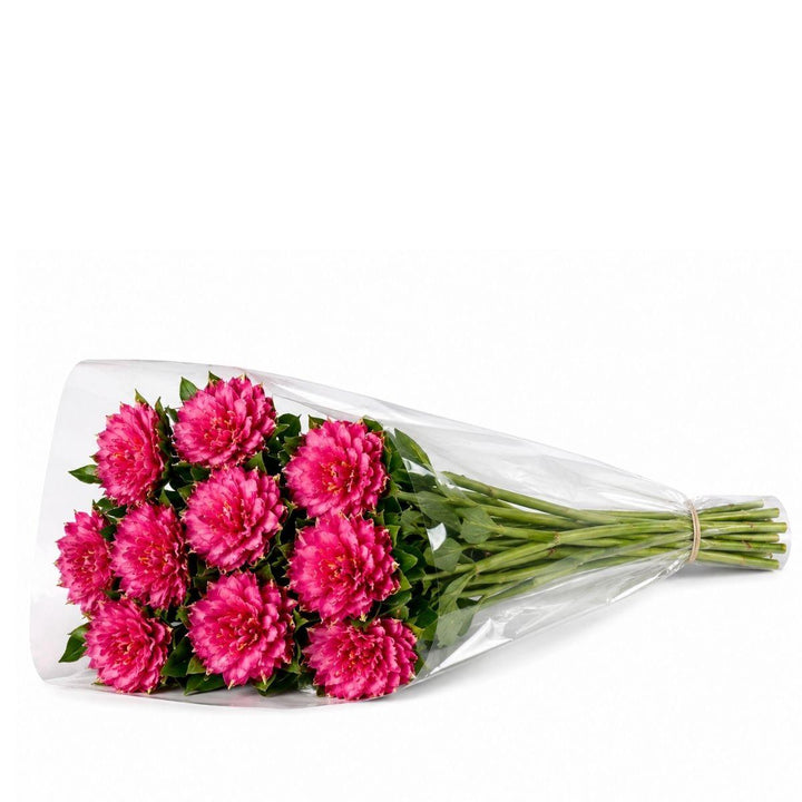 Alstroemeria Fashionista Sofiana fresh-cut flowers in a protective sleeve, from Sharbatly.
