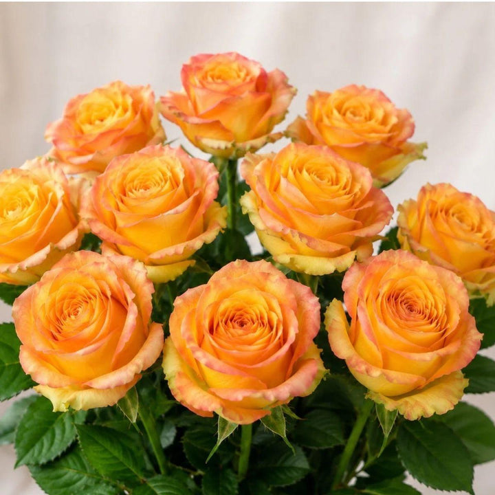 Roses, Olduvai fresh-cut flowers arranged in a clear vase at home, from Sharbatly.