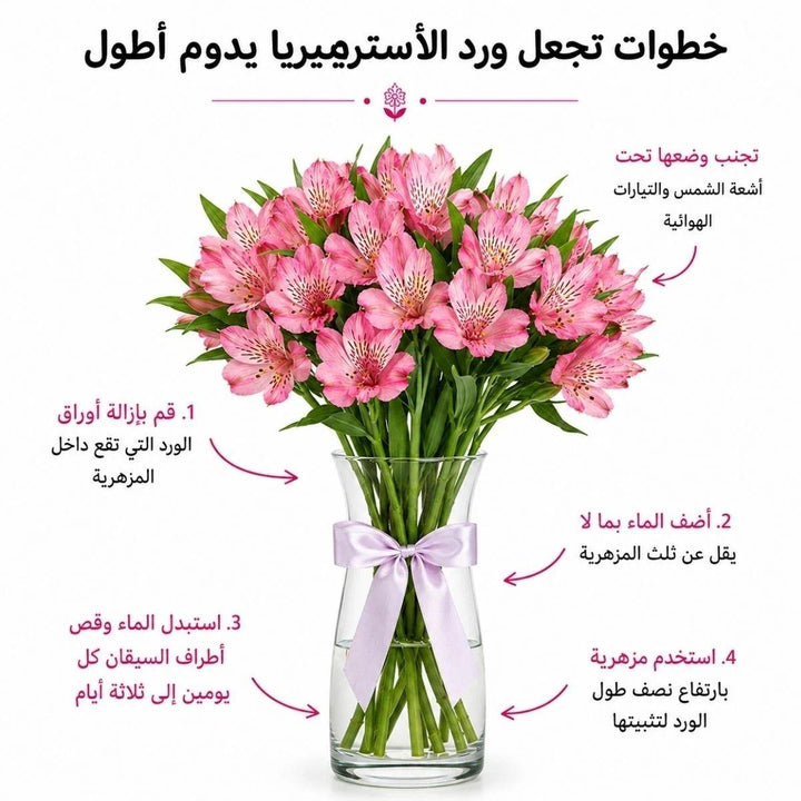 Arabic alstroemeria care guide with water, trimming and vase instructions, from Sharbatly.