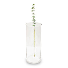 Clear Glass Vase, Single Piece - Sharbatly.Club