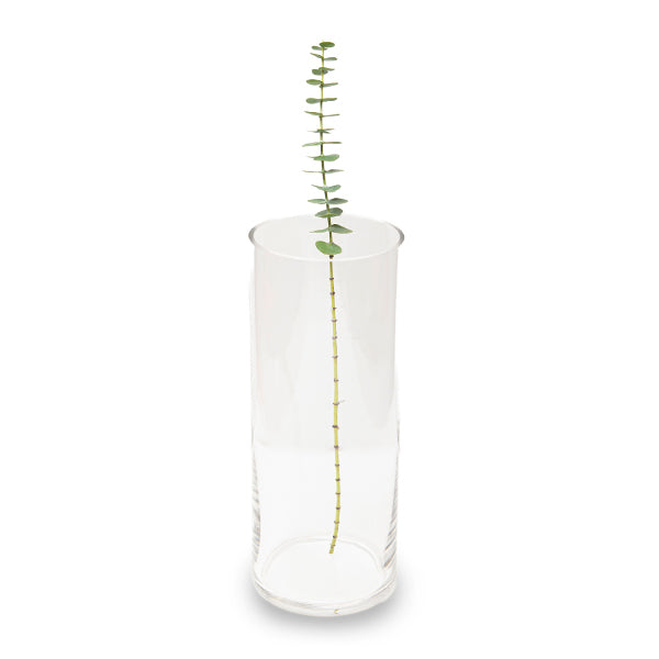 Clear Glass Vase, Single Piece - Sharbatly.Club