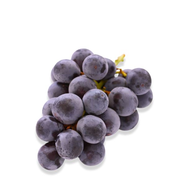 Black Diamond Jumbo grapes from Sharbatly, fresh black fruit bunch with large grapes in a 0.8 kg bunch.