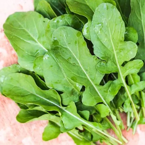 Fresh arugula leaves in a bunch from Local Market, showcasing vibrant green vegetable with tender, leafy texture.