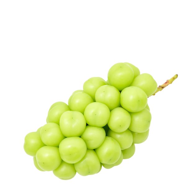 Jumbo Shine Muscat white grapes in a 1 kg bunch from Sharbatly, fresh and plump fruit on a white background