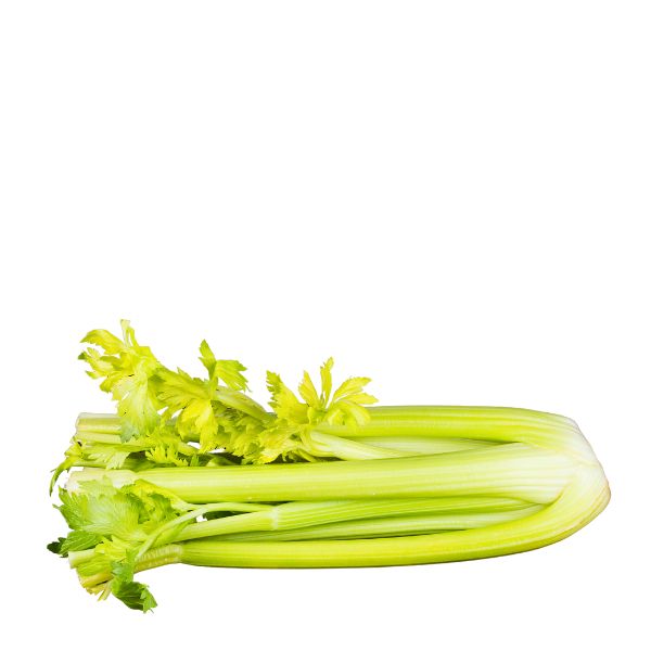 Fresh celery bunch from Sharbatly, showcasing crisp green stalks and leafy tops, ideal for salads and cooking.