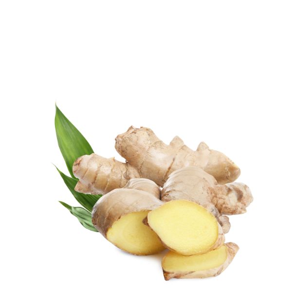 Fresh ginger vegetable in a 0.5 kg pack from Sharbatly, showing whole ginger roots with textured brown skin.