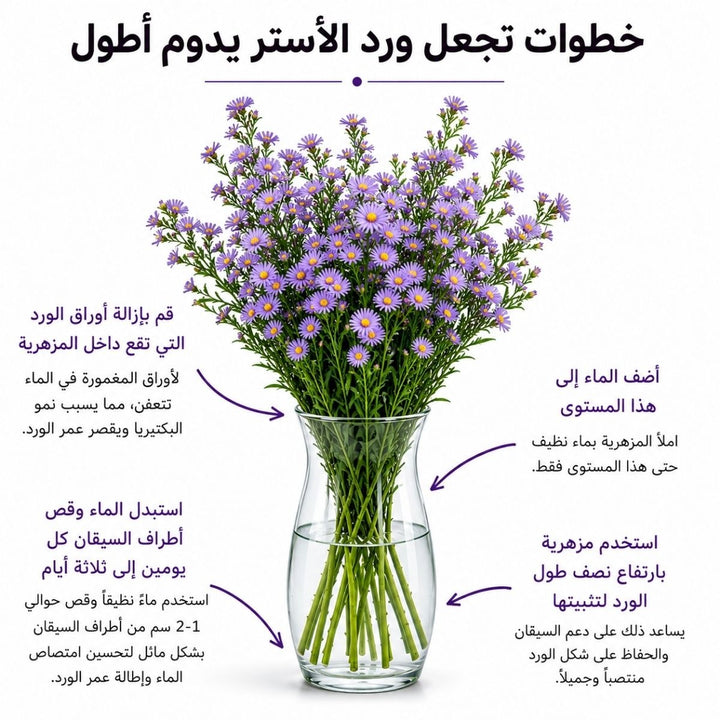 White Aster flowers on 10 stems from Black Tulip, showcasing fresh, vibrant blooms in a natural floral arrangement.