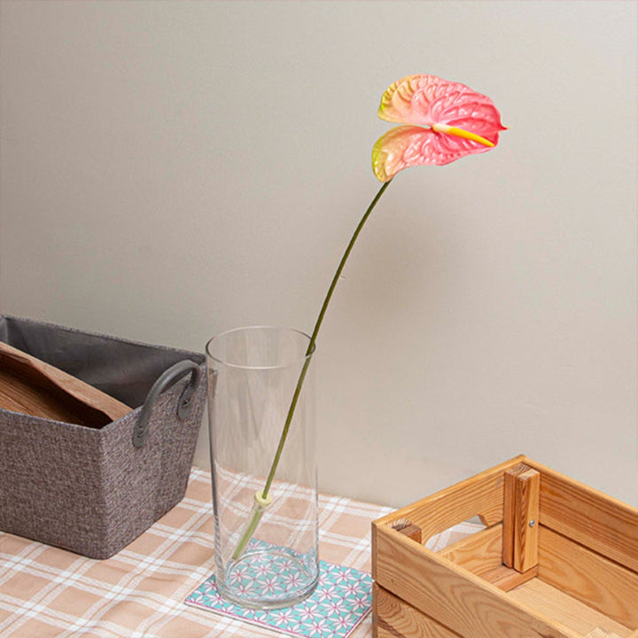 Pink Anthurium flower on a single stem, fresh and vibrant, from Fresh Flower Holland.