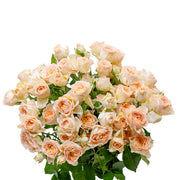 Bouquet of 10 baby roses from Sancerre by SQ Flora Kenya, showing delicate pink blooms with fresh green stems.