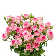Bouquet of 10 Baby Roses from Tra-La-La by SQ Flora Kenya, showcasing delicate pink flower stems.