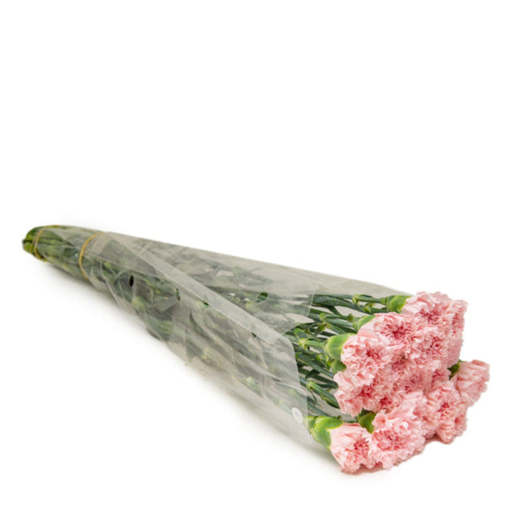 Bouquet of 19 Jodie-Pink carnations from SQ Flora Kenya, showcasing vibrant pink flower stems arranged together.