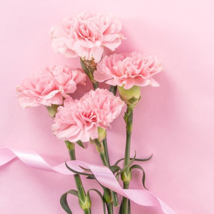 Bouquet of 19 pink carnations from SQ Flora Kenya, showcasing vibrant Jodie-Pink flowers arranged in a floral display.