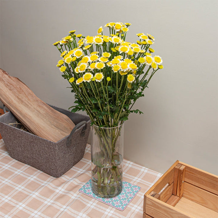 Bright yellow Santini chrysanthemums from SQ Flora Kenya, 10 stems of vibrant sun-up flowers in a natural bouquet.