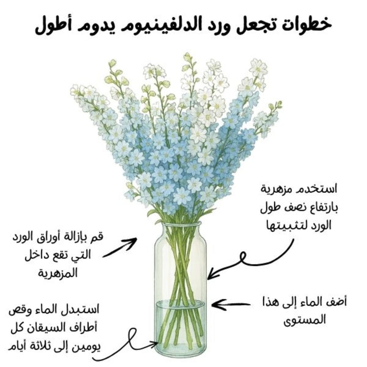 White Delphiniums from SQ Flora Kenya, 5 stems of elegant flowering blooms arranged naturally.