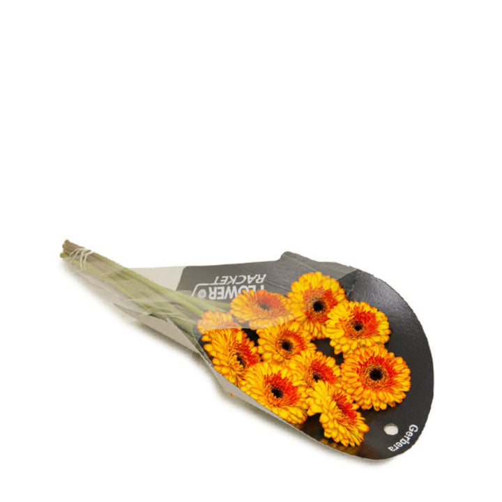 Bouquet of 10 vibrant Gerbera Barbados flowers from Flowranow, showcasing colorful blooms on green stems.