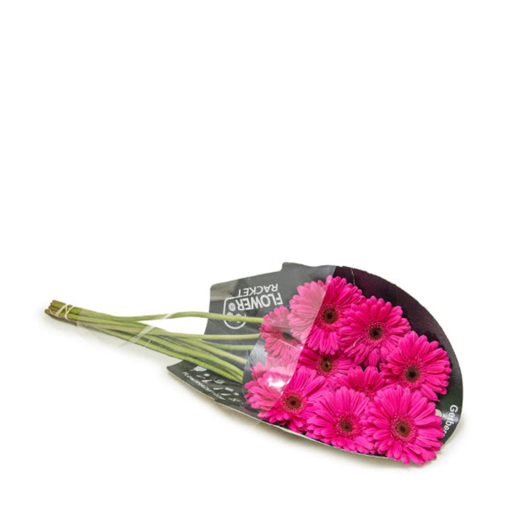 Bright pink Gerbera flowers from Flowranow, arranged in a bouquet with 10 stems, showcasing vibrant blooms and fresh greenery.
