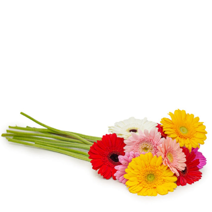 Assorted hybrid Gerbera flowers in a bouquet, featuring bright, colorful blooms from Fresh Flower Holland.
