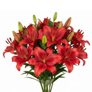 Fresh Asiatic Corleone Red lilies in a bouquet, five stems of vibrant red Dutch lilies from Fresh Flower Holland
