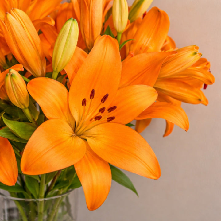 orange asiatic lily bouquet زنبق