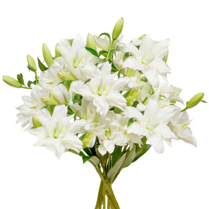 Bouquet of 10 scented Oriental lilies with double petals from Fresh Flower Holland, arranged in a natural floral display.
