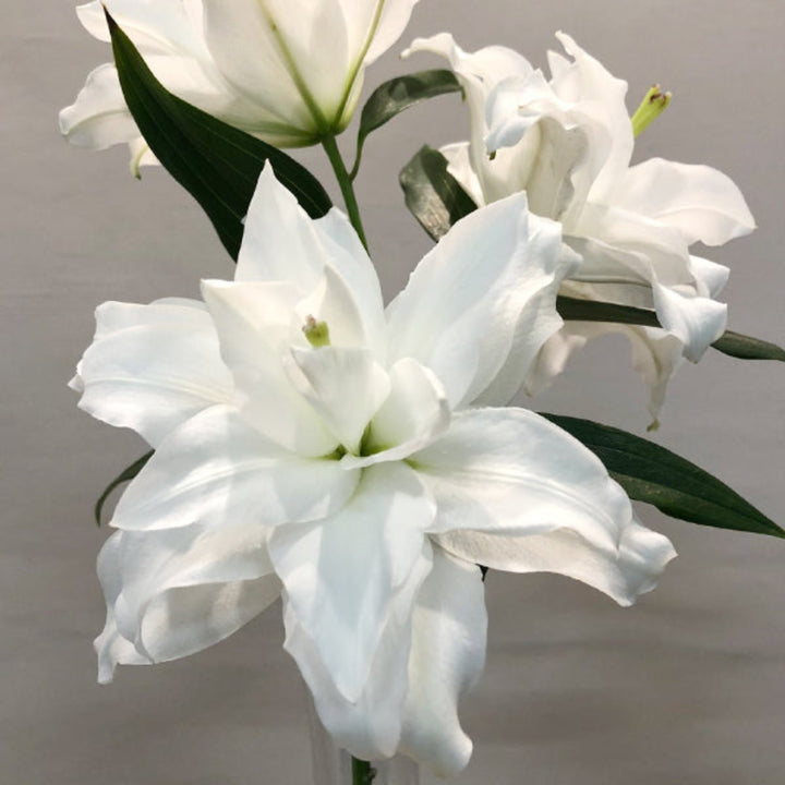 Fresh Oriental lilies with double petals in white from Dejima, scented flower stems, arranged in 10-stem bunch by Fresh Flower Holland.