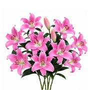 Soft pink Oriental lilies in an XL bouquet with five stems, scented Dutch flowers from Fresh Flower Holland.