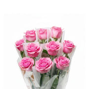 Pink rose flower stem from SQ Flora Kenya, individually wrapped, showcasing fresh, vibrant petals and green foliage.