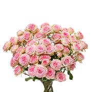 Pink Roses Baby Dinara from Black Tulip, 10 stems of delicate pink flowers arranged in a bouquet.