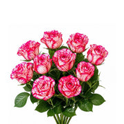 Bouquet of 10 Barracuda roses from SQ Flora Kenya arranged with vibrant red petals and lush green stems.