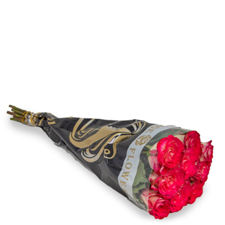 Bouquet of 10 pink and white roses from SQ Flora Kenya, fresh flower stems arranged beautifully.