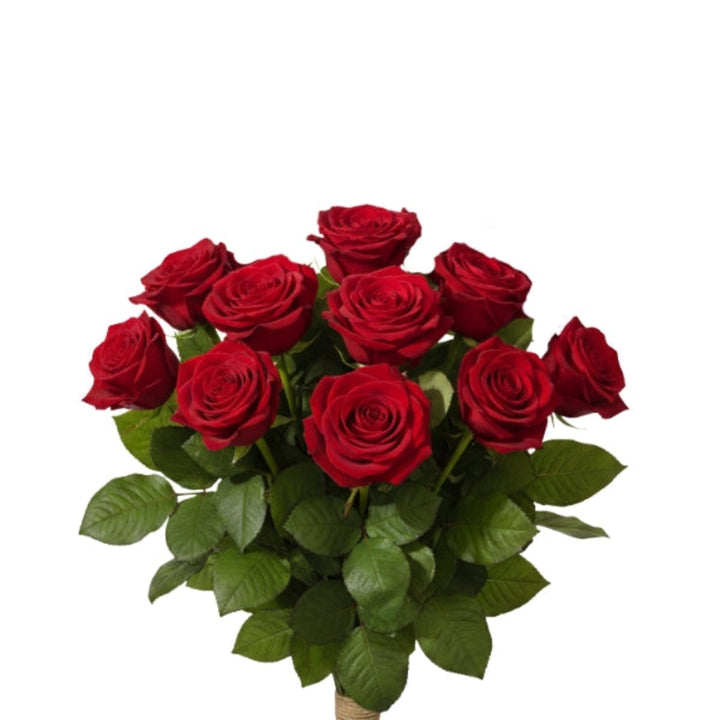 Red roses from SQ Flora Kenya, 10 stems of fresh flowers arranged in a bouquet, vibrant and lush for special occasions.