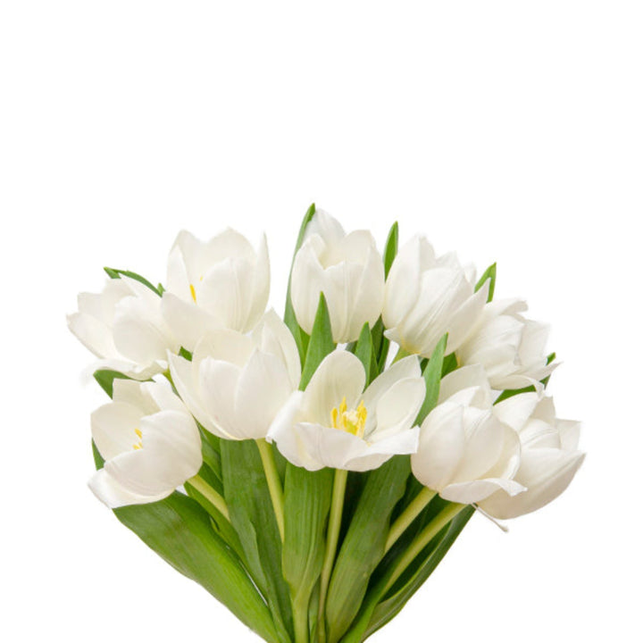 White Royal Virgin tulips from Fresh Flower Holland, 10 stems of fresh flower blooms in a natural arrangement.