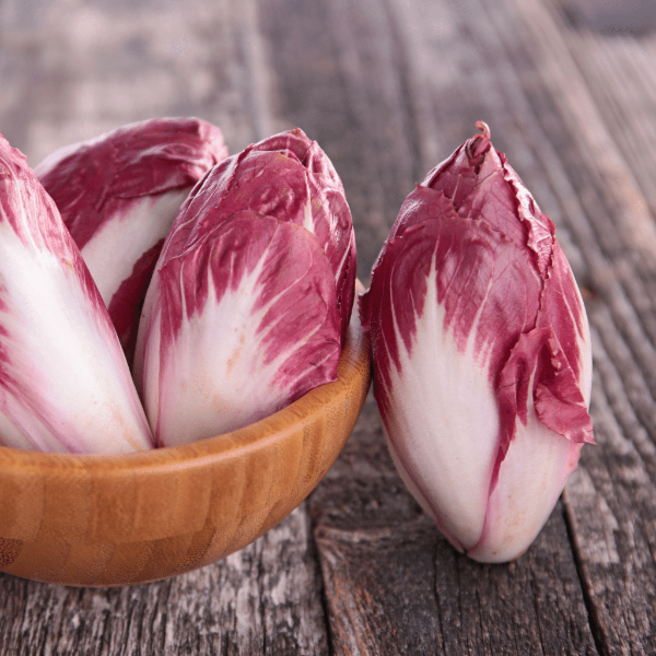 Fresh Belgian Endive Chicory Red vegetable from Holland, packed in 0.5 kg, with crisp, tightly packed leaves.