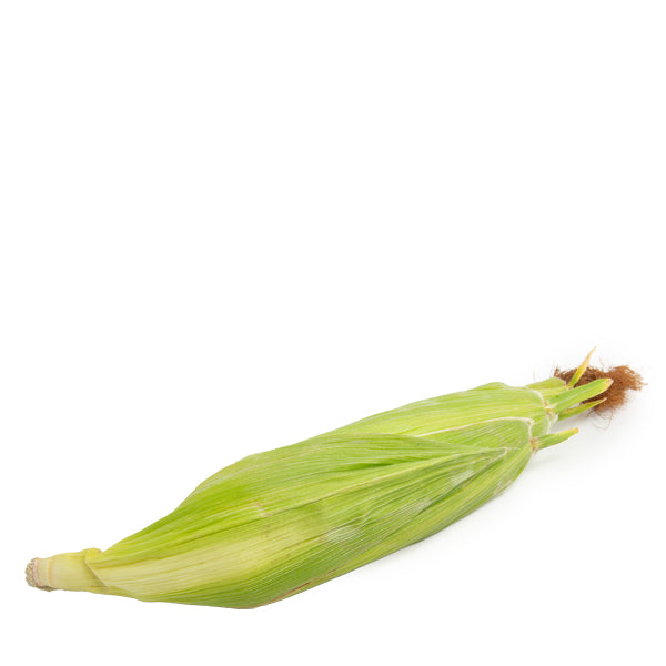 Fresh yellow corn from Local Market, single whole vegetable with vibrant kernels and green husk.