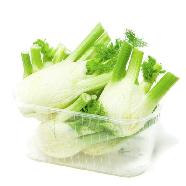 Fresh Holland fennel vegetable in a 1.5 kg pack, showcasing the white bulb, feathery fronds, and crisp texture.