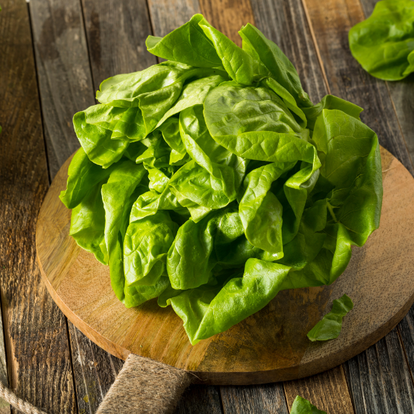 Fresh Boston lettuce from Mishkat in a 0.125 kg vegetable pack, showing crisp green leaves on a clean surface.