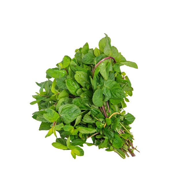 نعناع | Mint, Hasawi/Madaniy ,Medina 0.1 kg pack – Sharbatly.Club