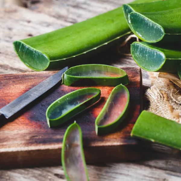 صبار | Aloe vera large leaf, single piece