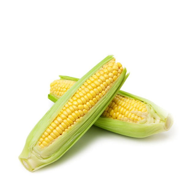 Fresh Holland corn on the cob, two pieces in a pack, showcasing bright yellow kernels and green husks.