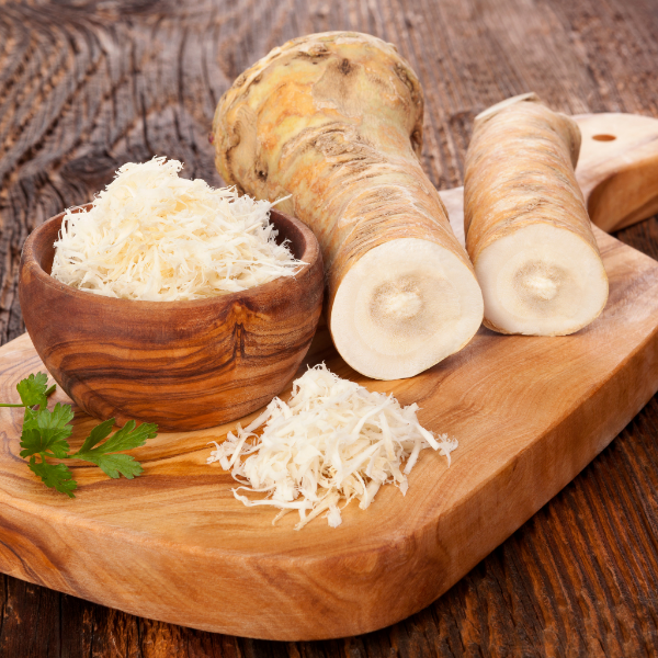 Fresh single piece of Holland horseradish vegetable on white background, showcasing its rough, beige root with green leaves.