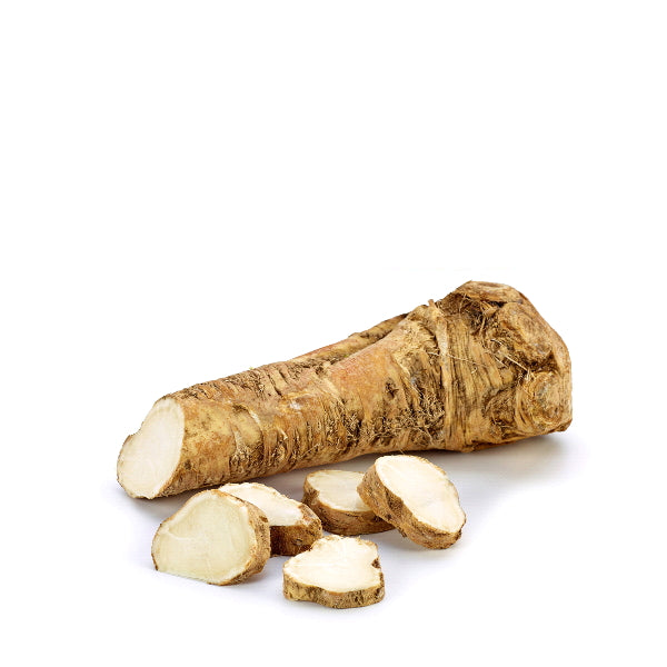 Fresh single piece of Holland horseradish vegetable, showing its rough brown skin and white interior on a white background.