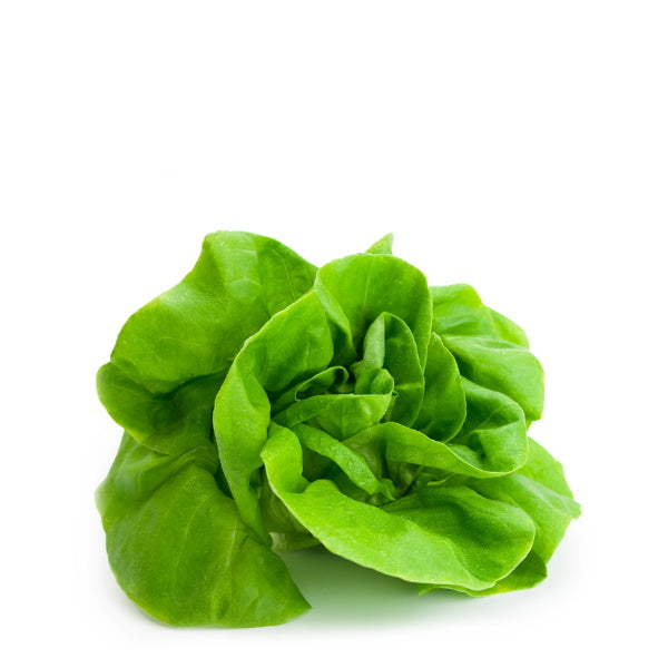 Fresh organic Boston lettuce in a 0.125 kg Mishkat vegetable pack, showing crisp green leaves on a white background.