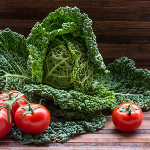Fresh savoy cabbage from Holland, single vegetable piece showing crinkled green leaves and compact head.
