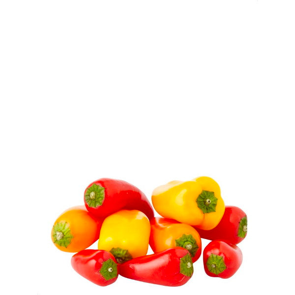 Fresh Mahasil Sweetbite baby sweet peppers in a 0.25 kg vegetable pack, showcasing colorful, crisp peppers on a white background.